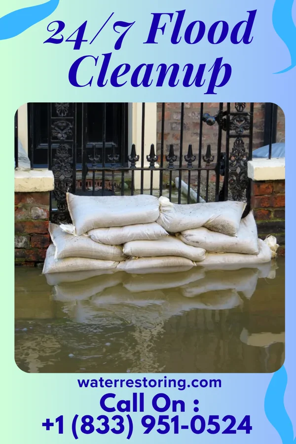 24/7 Flood Cleanup in Plum Creek, VA
