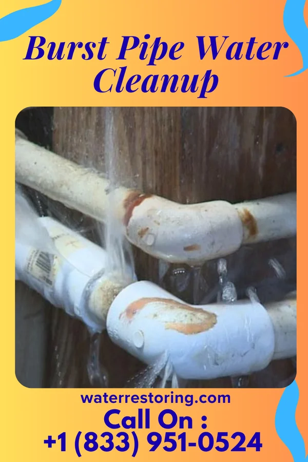 Burst Pipe Water Cleanup in Plum Creek, VA