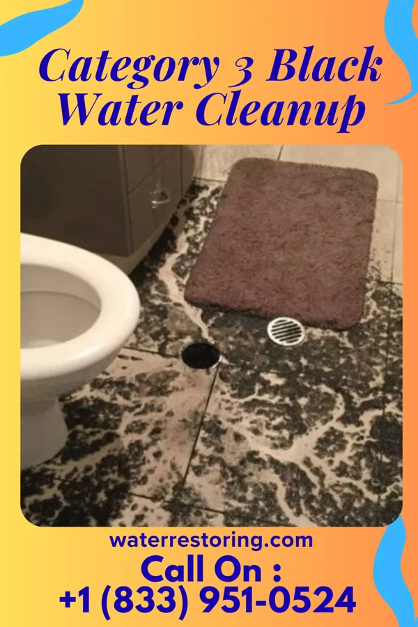 Category 3 Black Water Cleanup in Plum Creek, VA