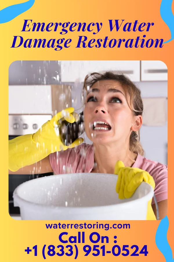 Emergency Water Damage Restoration in Plum Creek, VA