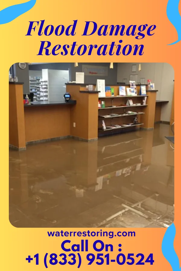 Flood Damage Restoration in Plum Creek, VA