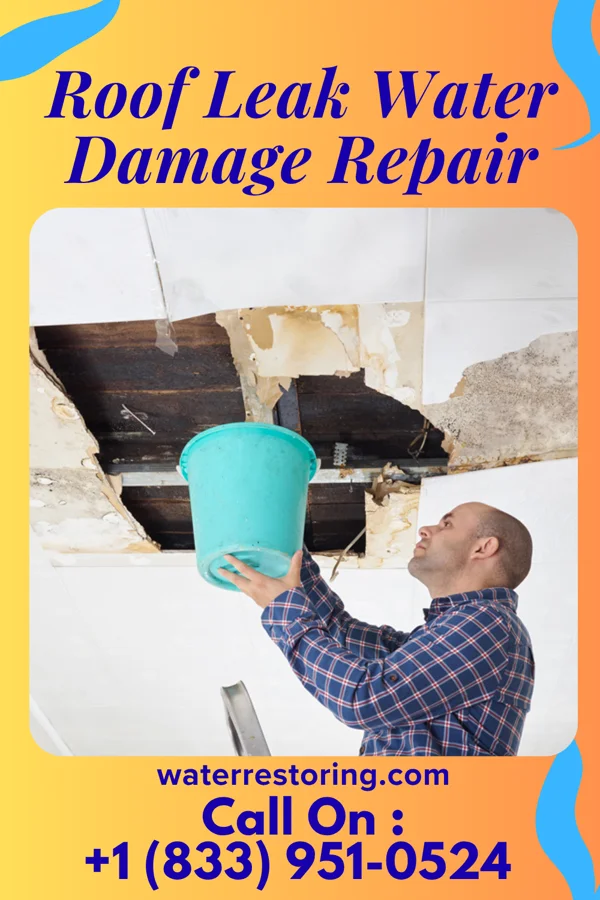 Roof Leak Water Damage Repair in Plum Creek, VA