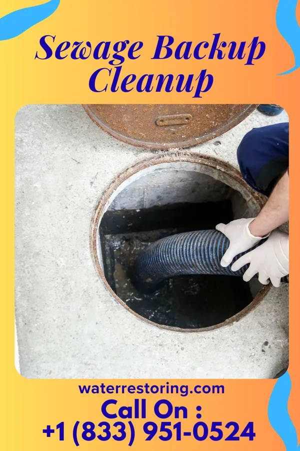 Sewage Backup Cleanup in Plum Creek, VA